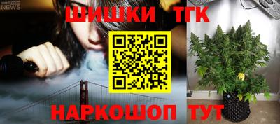 тгк Можга