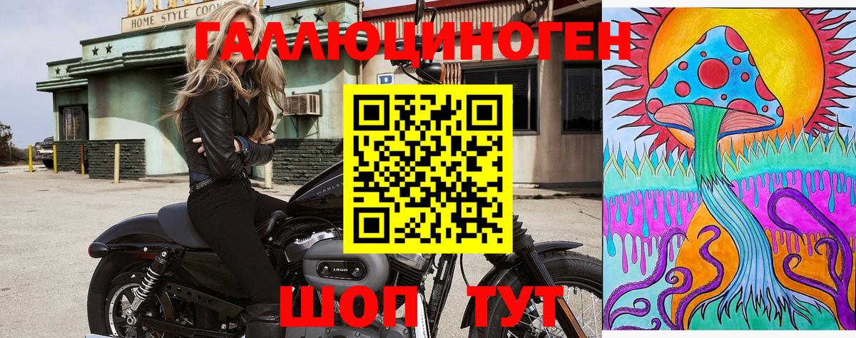 Галлюциногенные грибы мухоморы Южно-Сахалинск